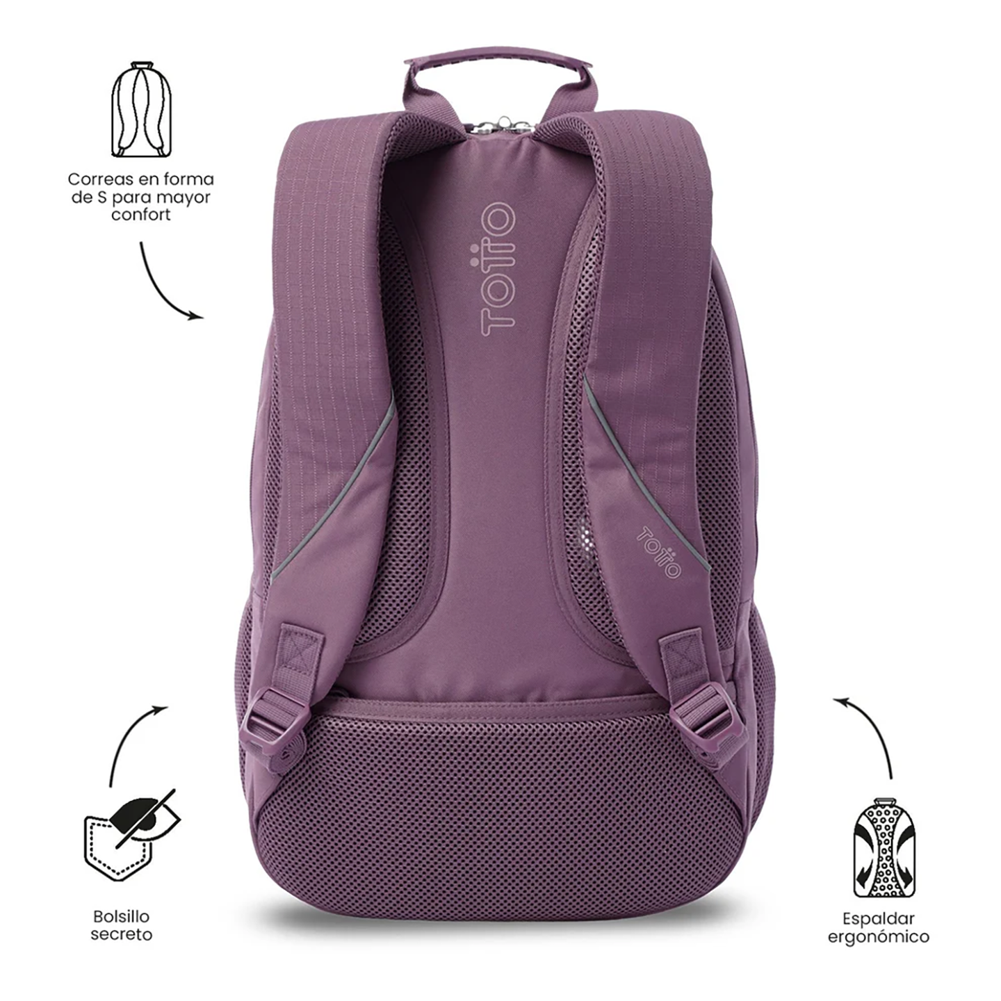 TTO3TRA13958PYU_Morado_1.png