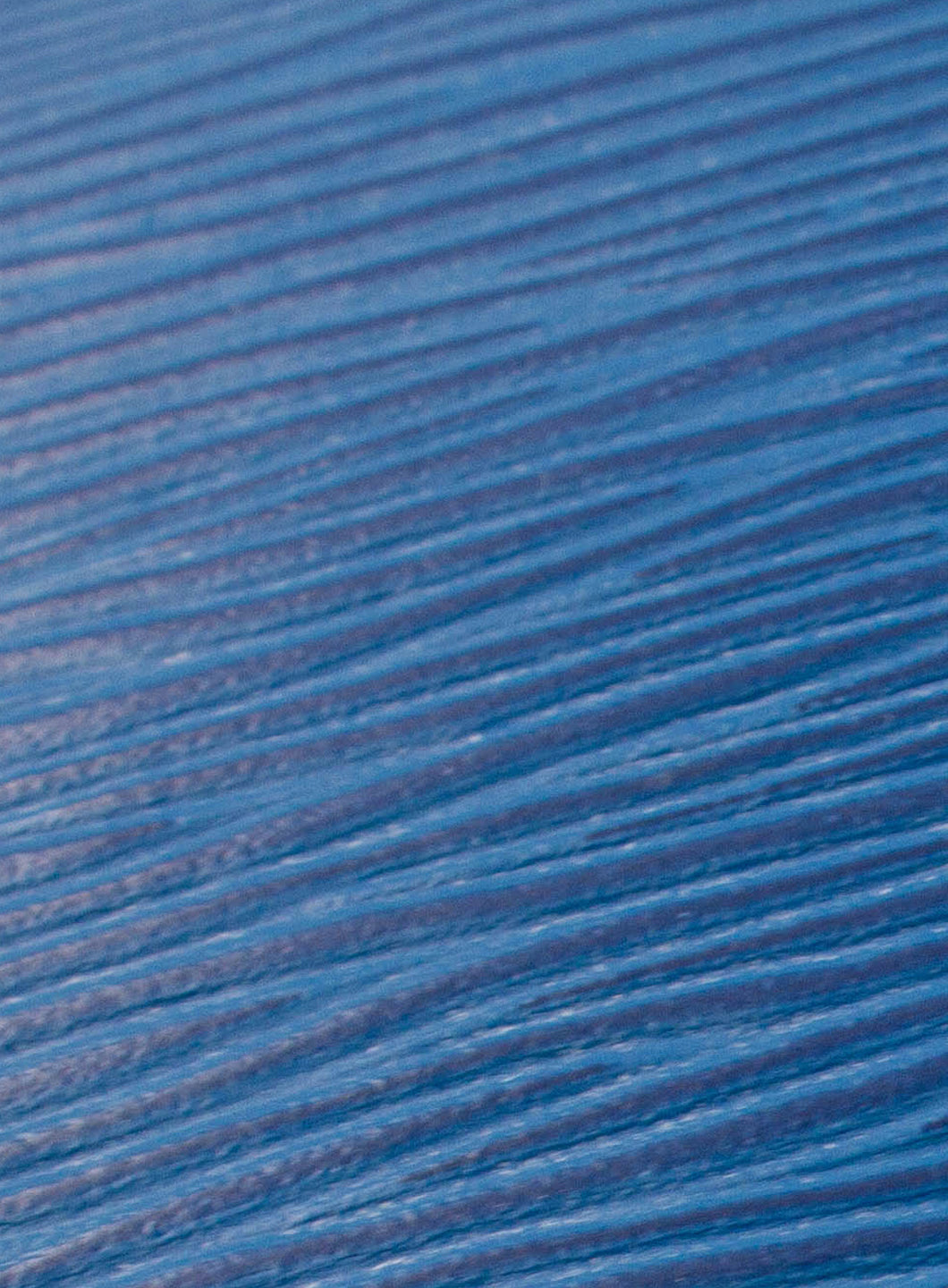 TVBBBCP00268LEW_Blue_4.png