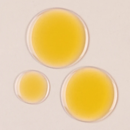 TWP6MKU25937OMU_lavanda_5.png