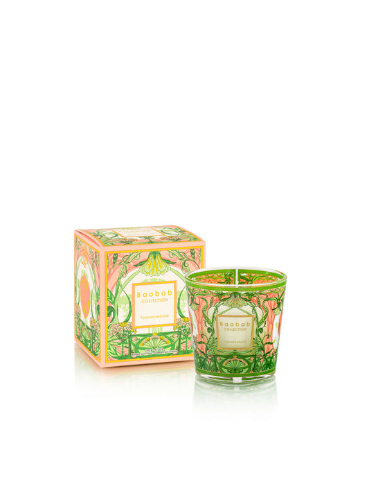 Baobab Collection - Tomorrowland Ma Candle