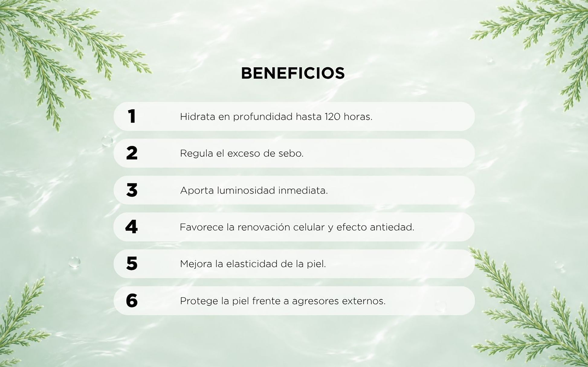 UNI6COS00000PIU_Blanco_4.png