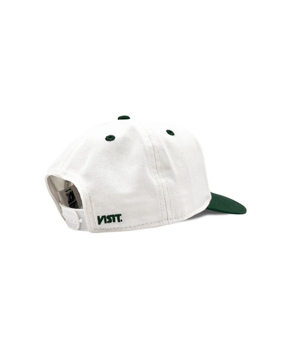 VII4ACC04052CTM_white%2Bgreen_2.png