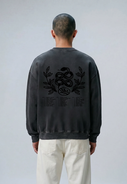 VRT1SWE19650CTM_WASHED+BLACK_1.png