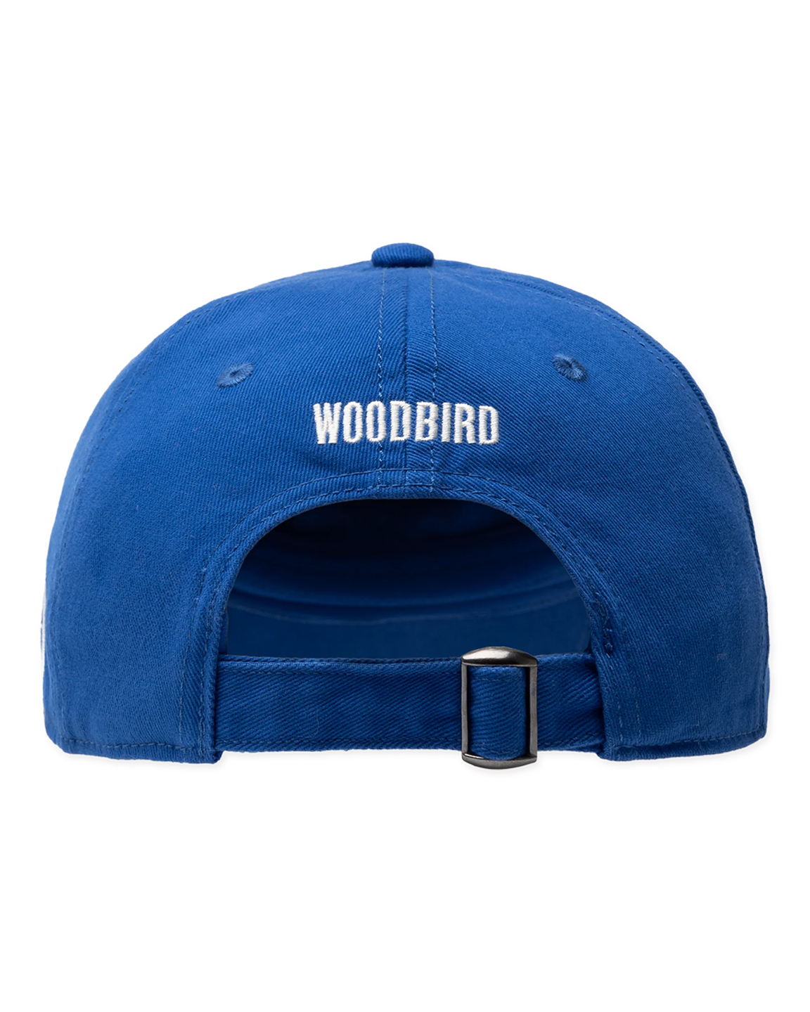 WDB4ACC00001CTM_COBALT+BLUE_1.png