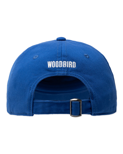 WDB4ACC00001CTM_COBALT+BLUE_1.png