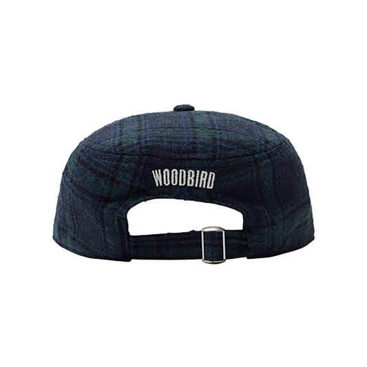 WDB4ACC15308WLM_Blue-Green_1.png