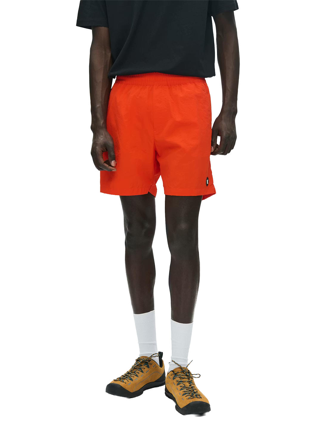 WDW1BEA00000NYM_Poinciana_0.png