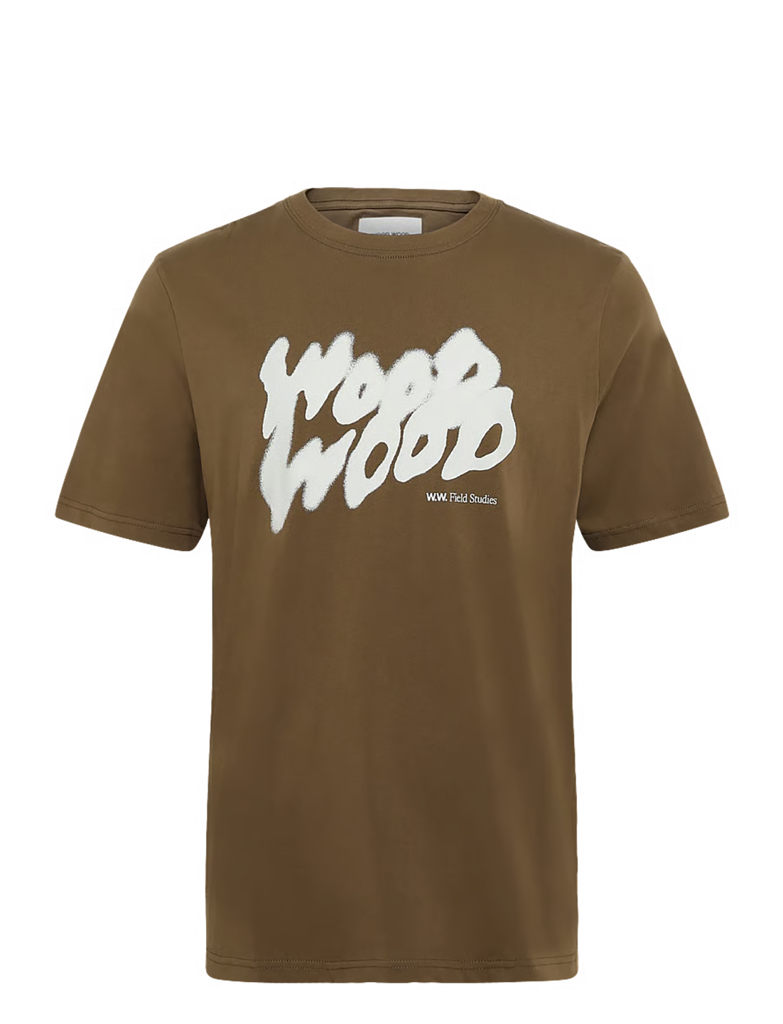 WDW1TOP18096CTM_Desert+Palm_1.png