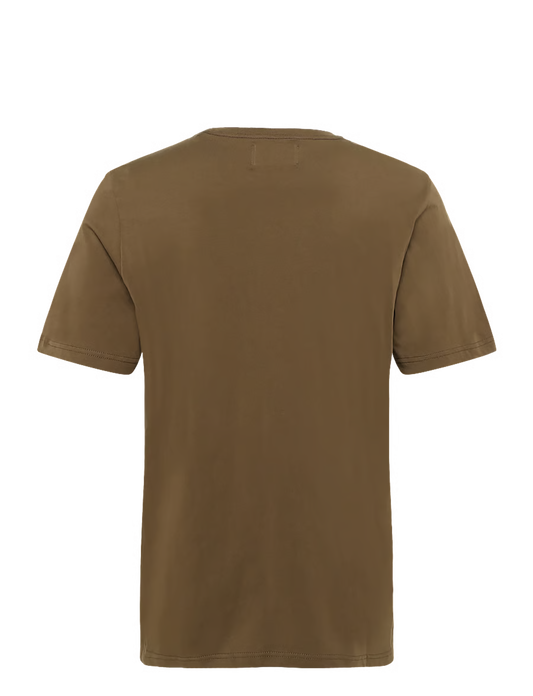 WDW1TOP18096CTM_Desert+Palm_2.png