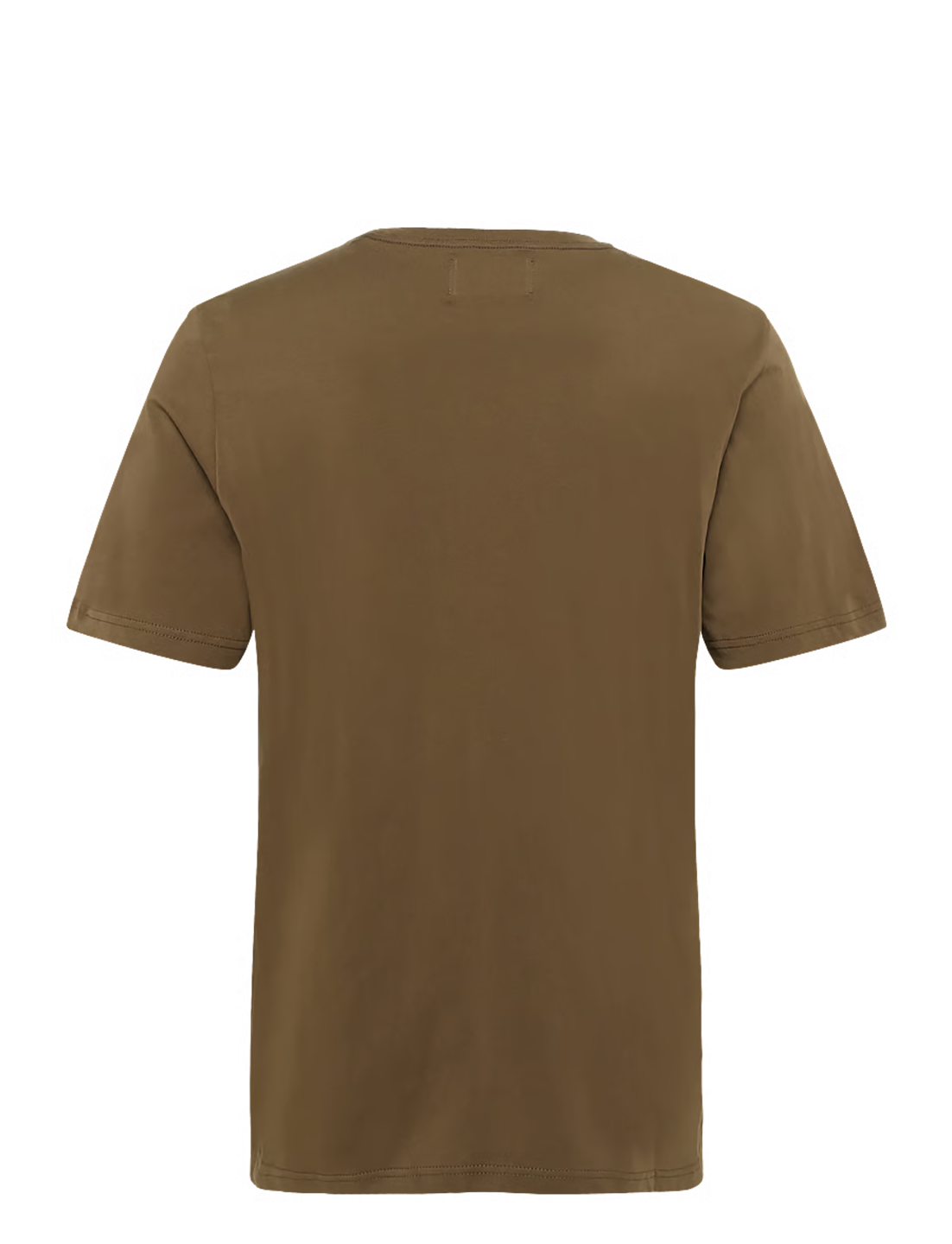 WDW1TOP18096CTM_Desert+Palm_2.png