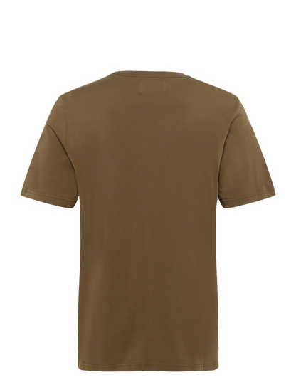 WDW1TOP18096CTM_Desert+Palm_2.png