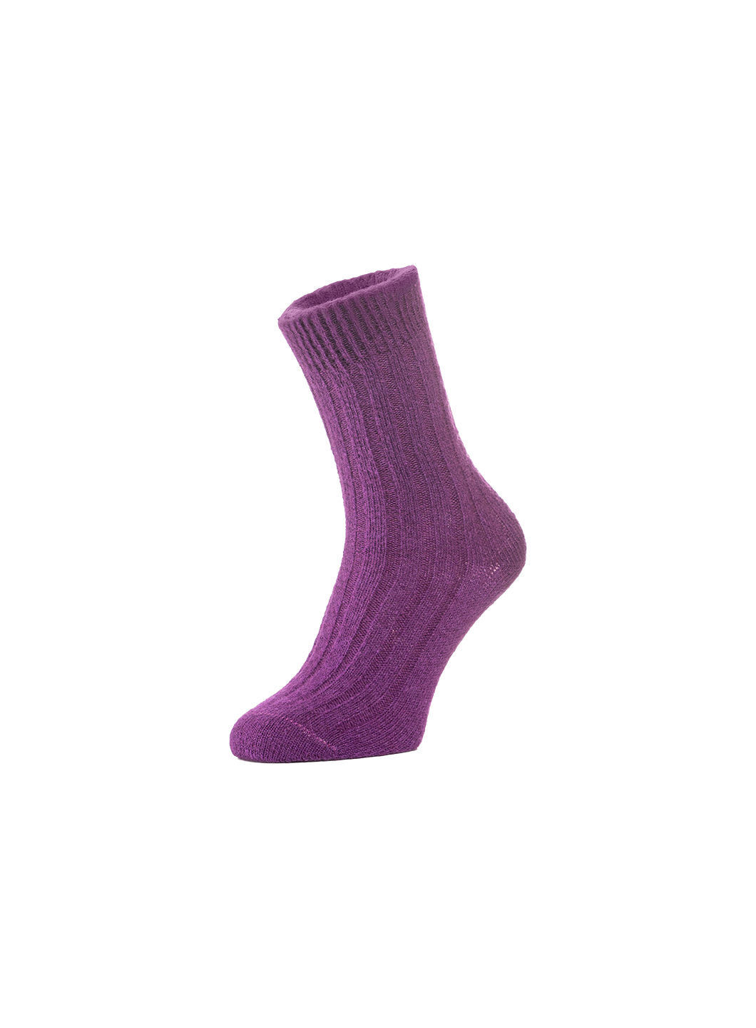 WLSCCAL00000LPW_Purple_0.png